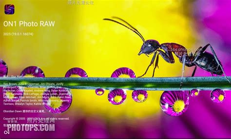 ON1 Photo RAW 2025 Latest Version Download
