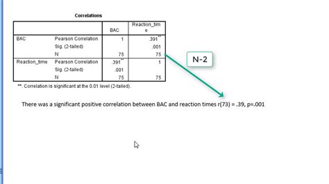 SPSS 2025 Download For Windows 10
