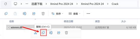 XMind Pro 10 2025 Installer Download
